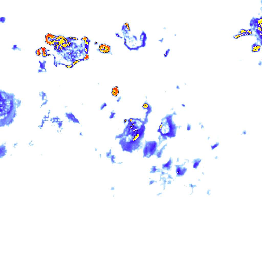 Image Layer