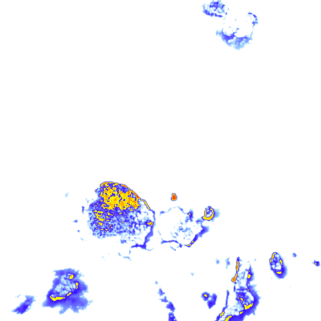 Image Layer