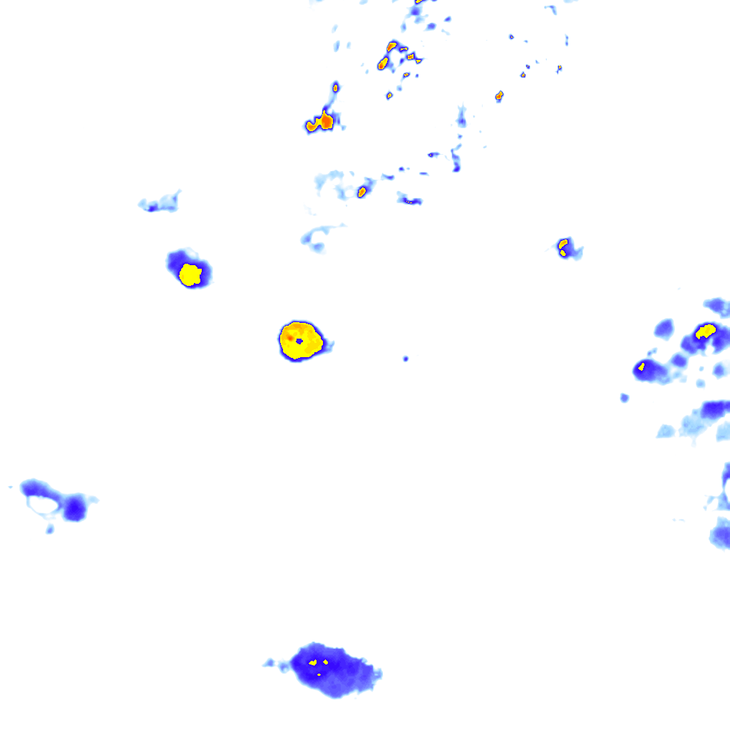Image Layer