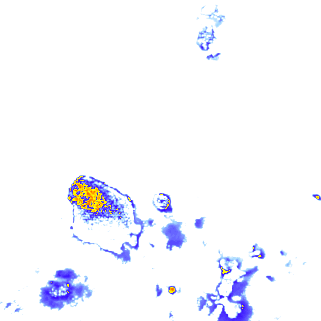 Image Layer