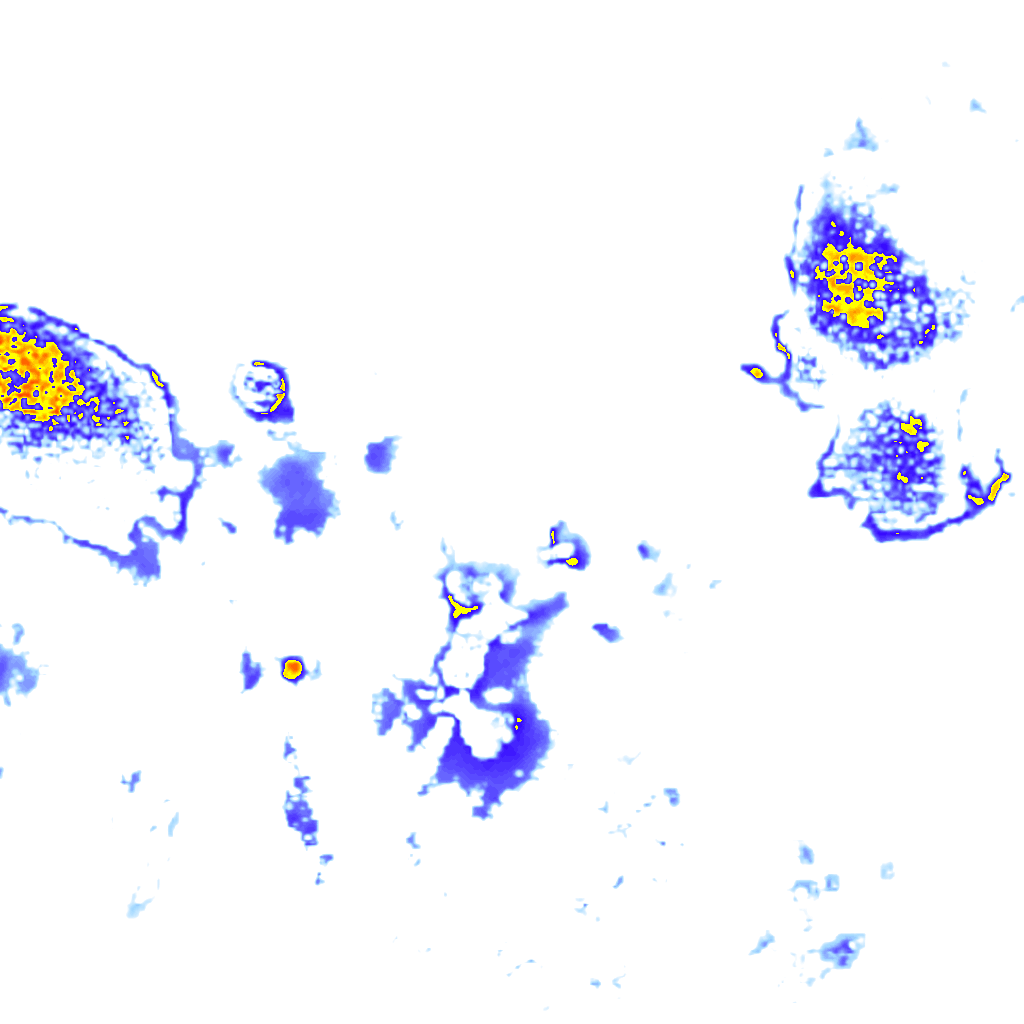 Image Layer