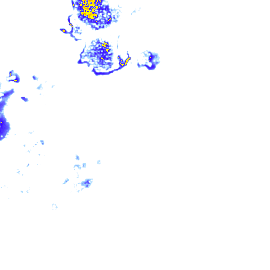 rainLayer