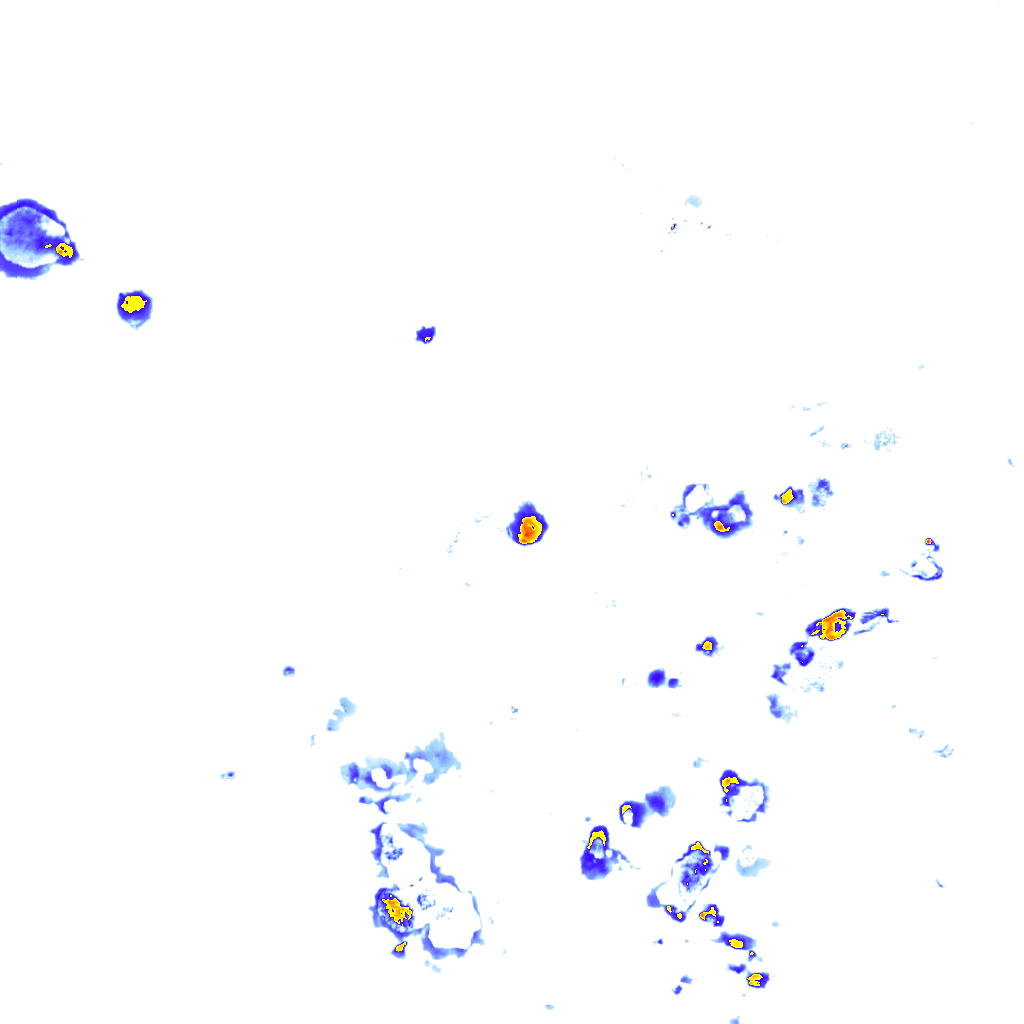 Image Layer