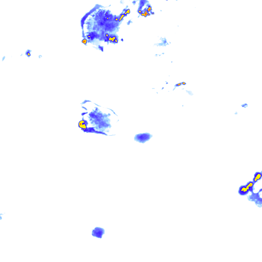 Image Layer