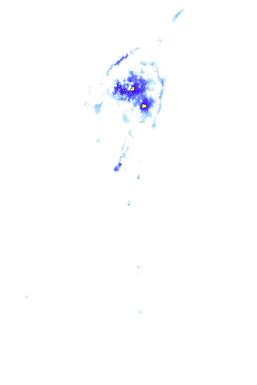 Image Layer