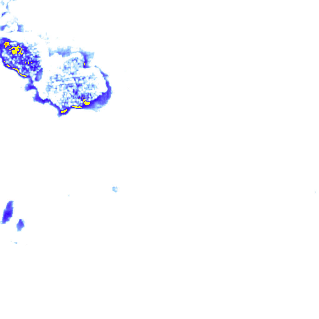 rainLayer