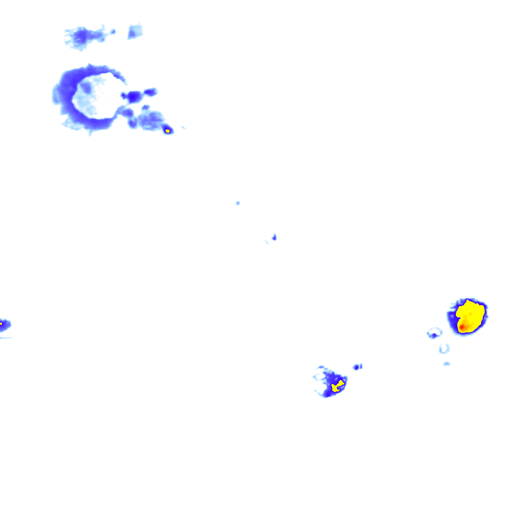 Image Layer