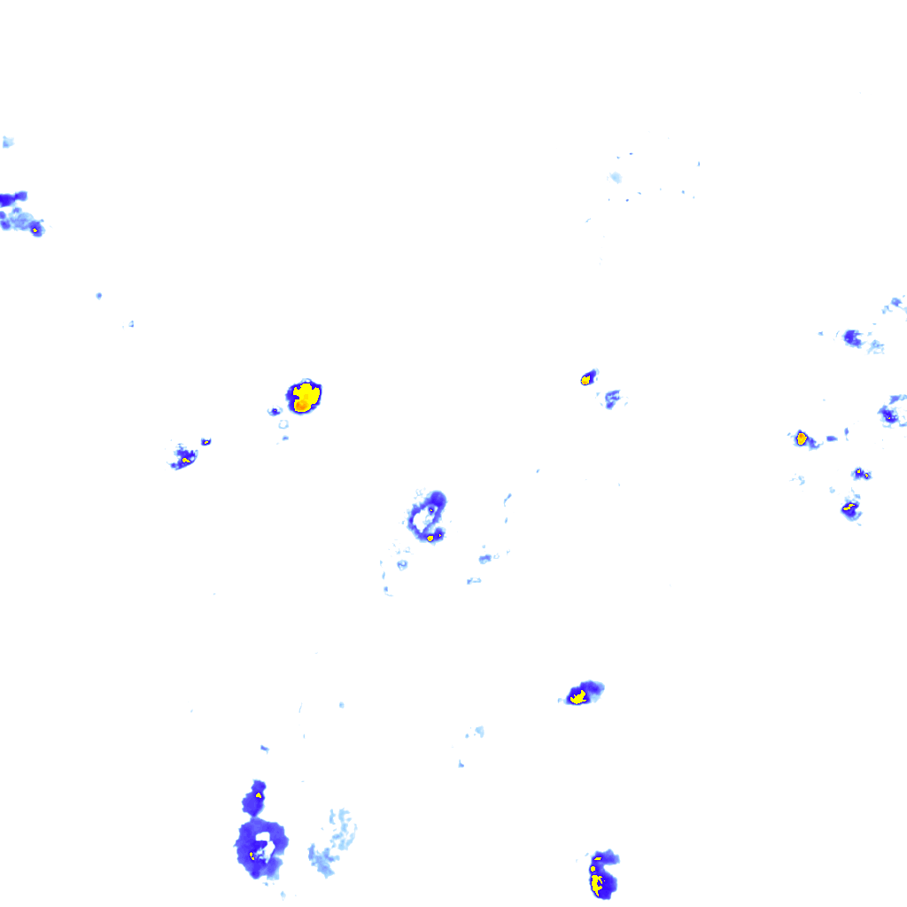 rainLayer