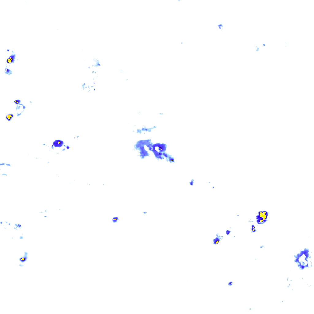 rainLayer