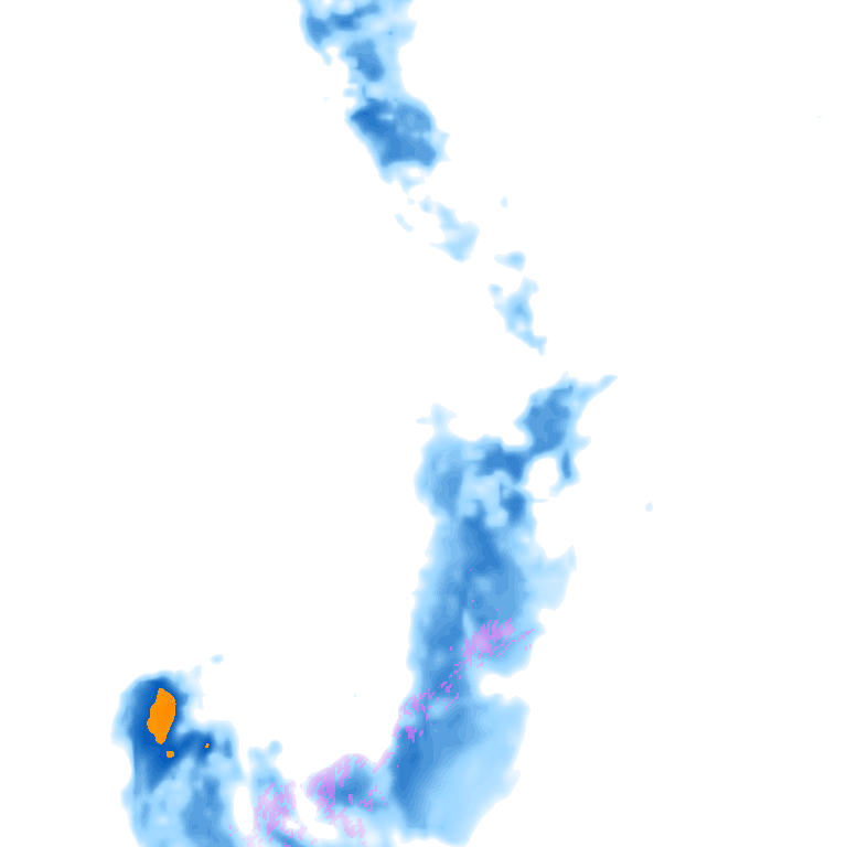 rain layer