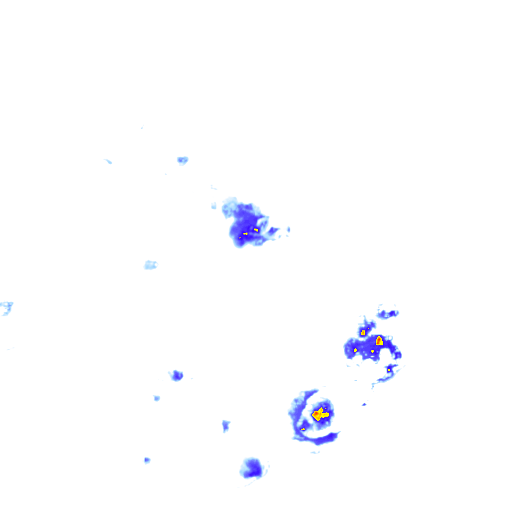 Image Layer