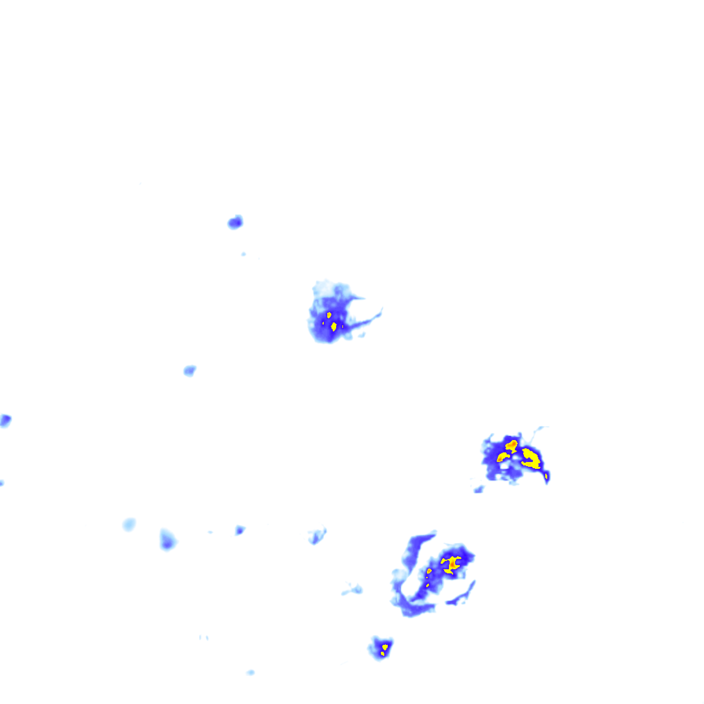 Image Layer