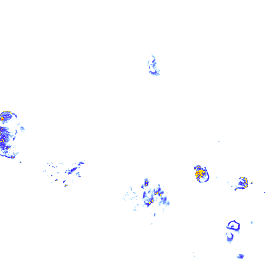 rainLayer