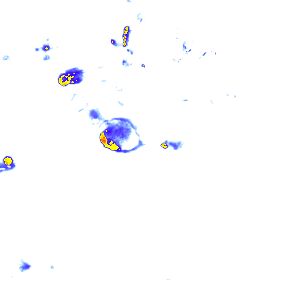 rainLayer