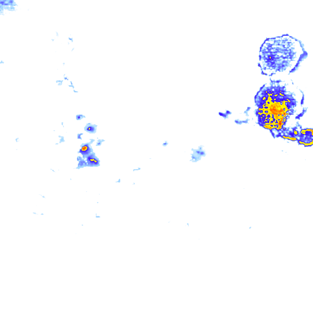 Image Layer