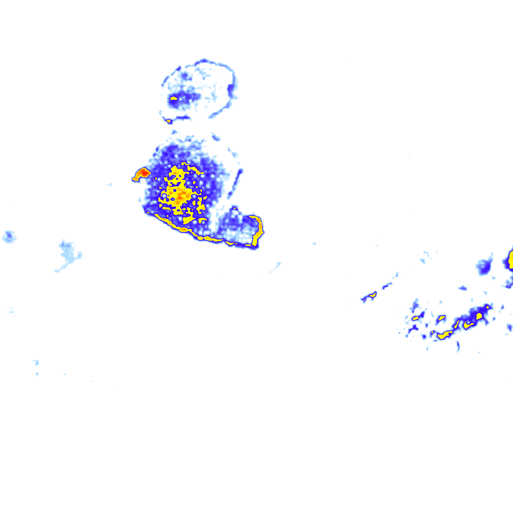 Image Layer