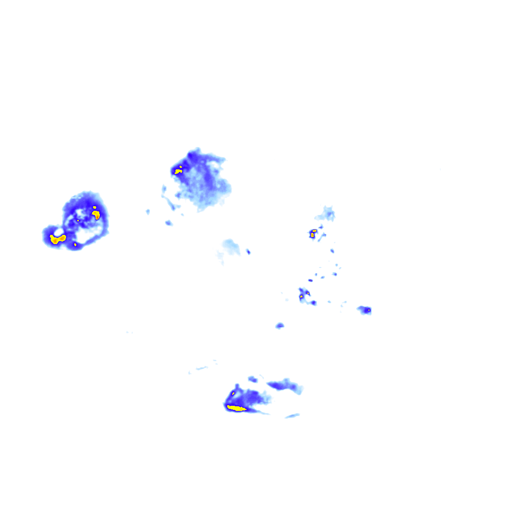 Image Layer