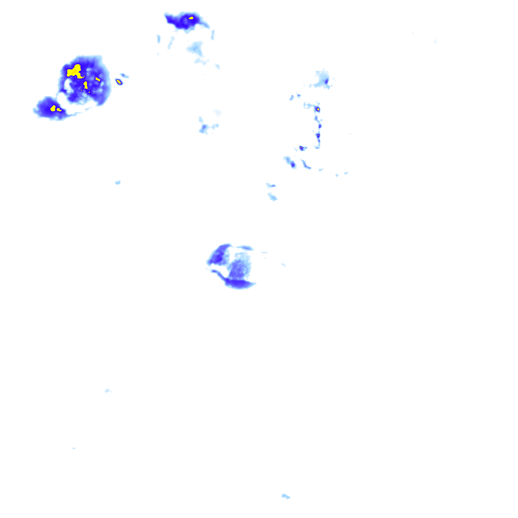 rainLayer