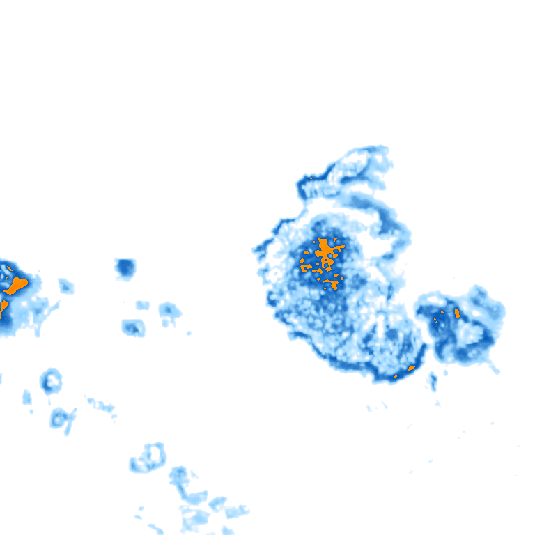 rain layer