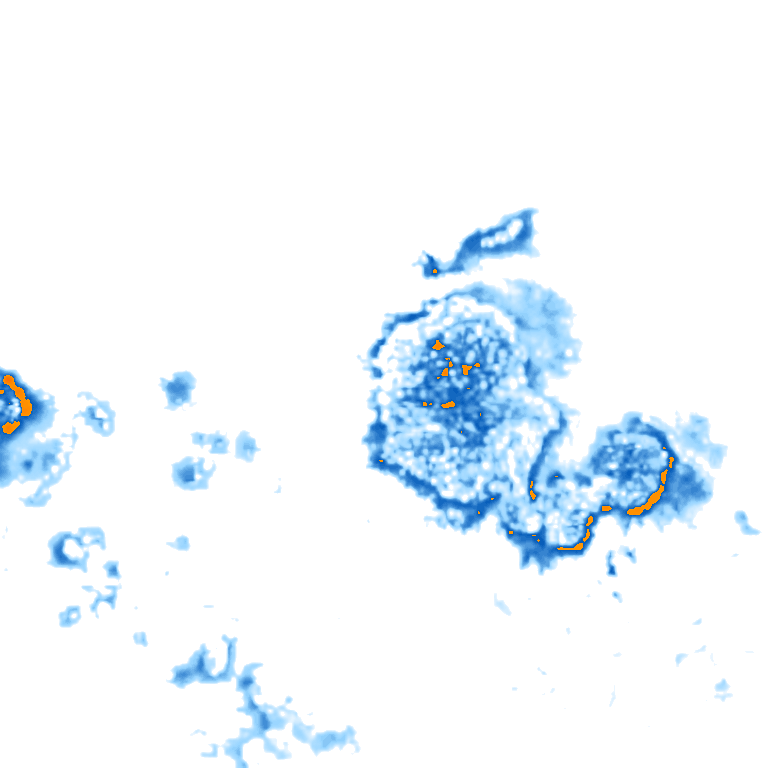 rain layer