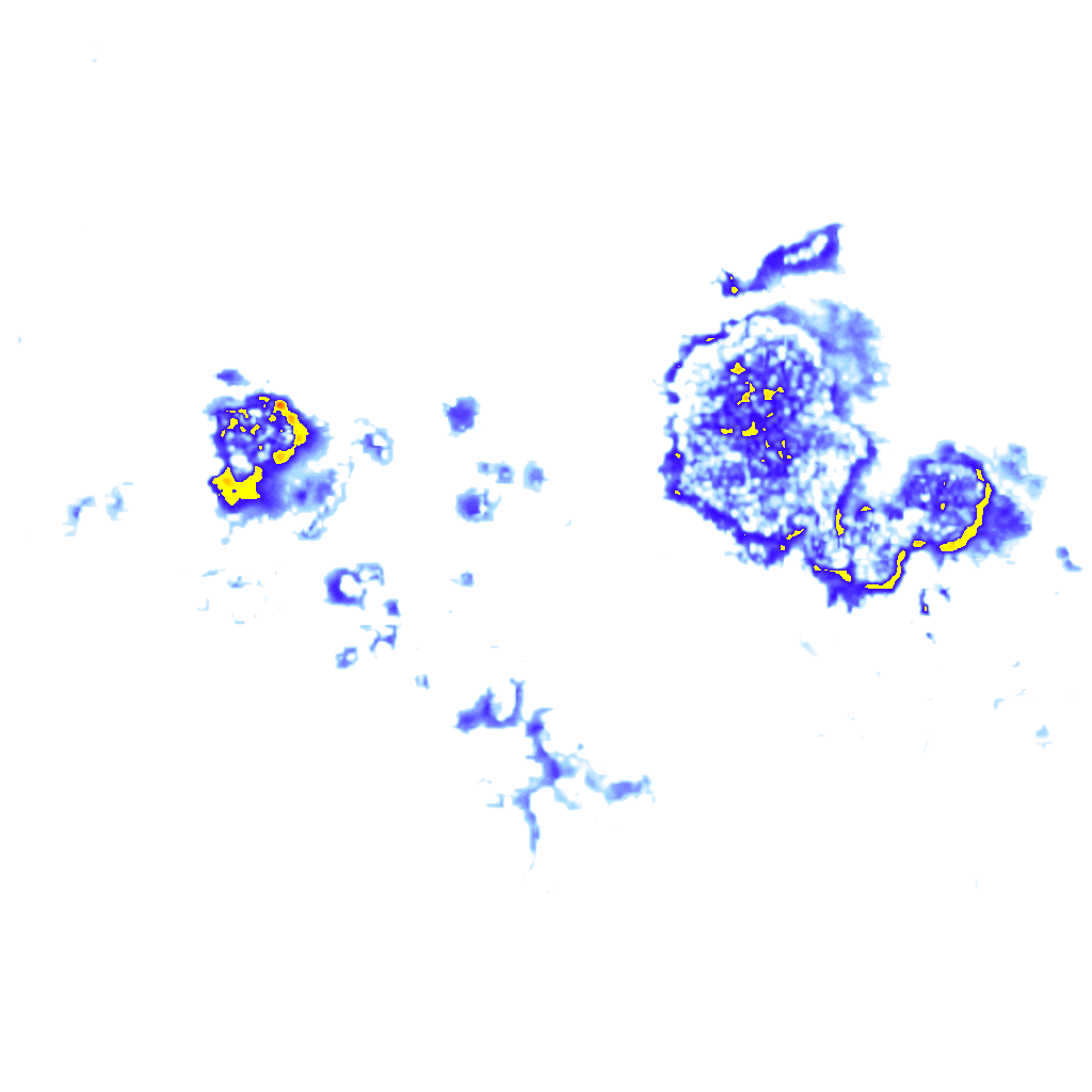 rainLayer
