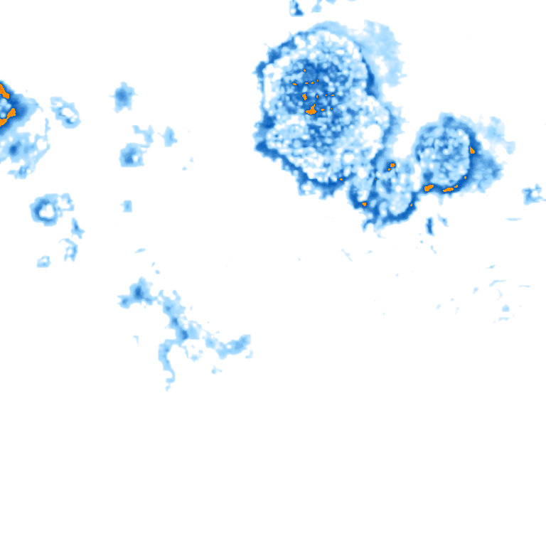 rain layer