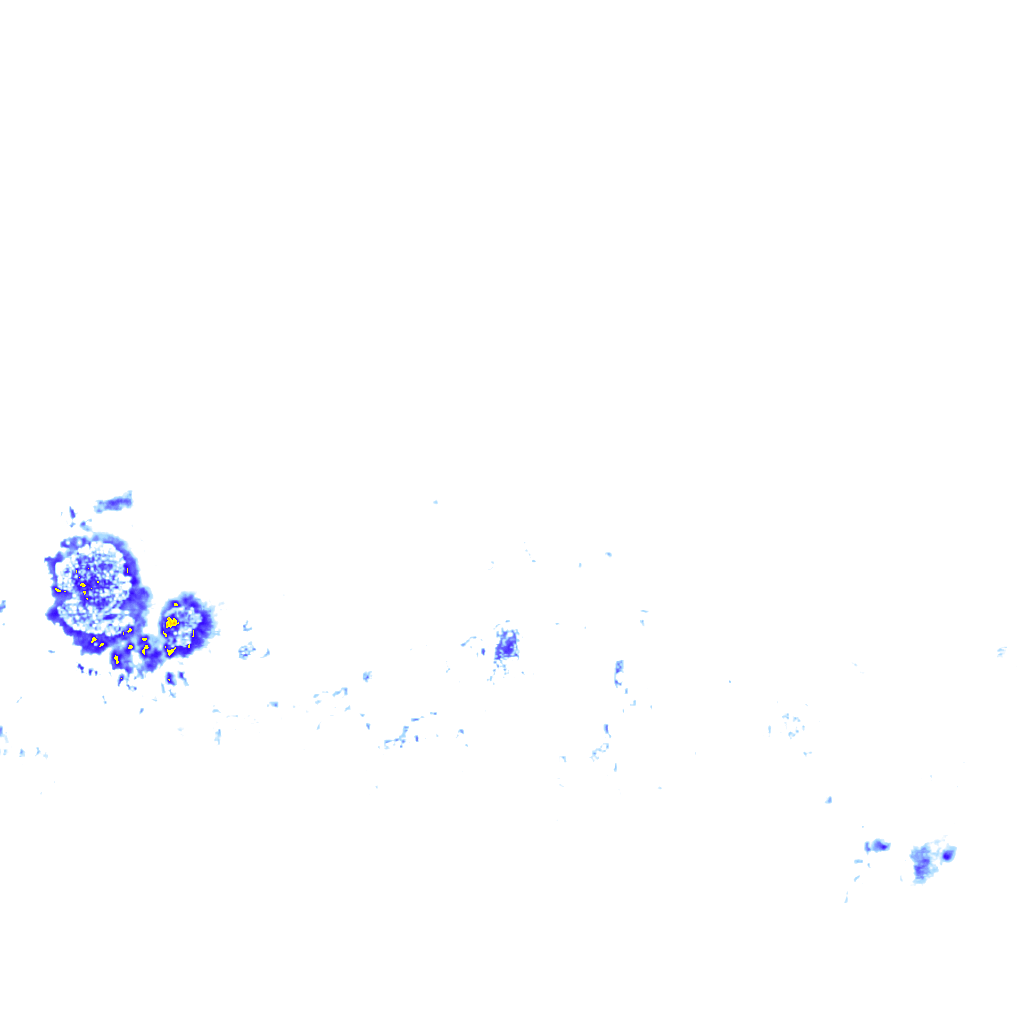 rainLayer