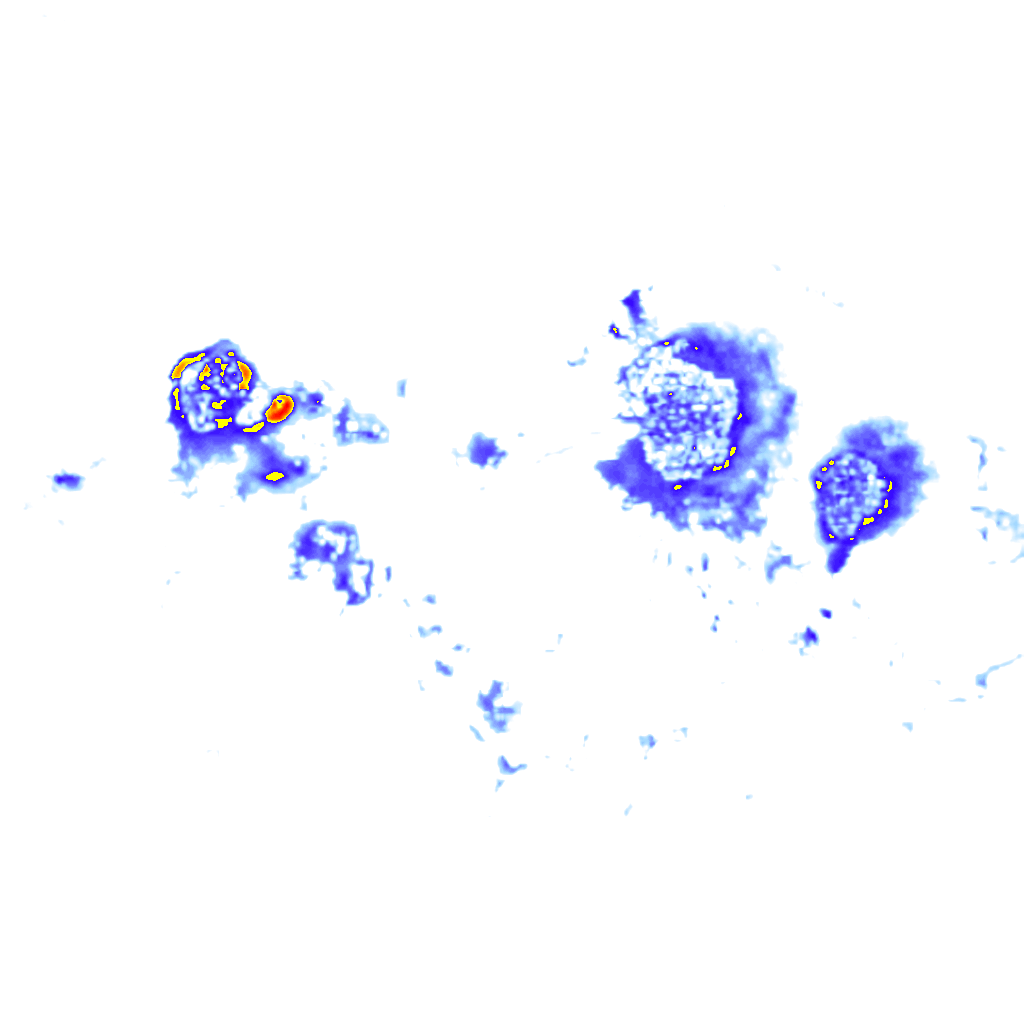 Image Layer
