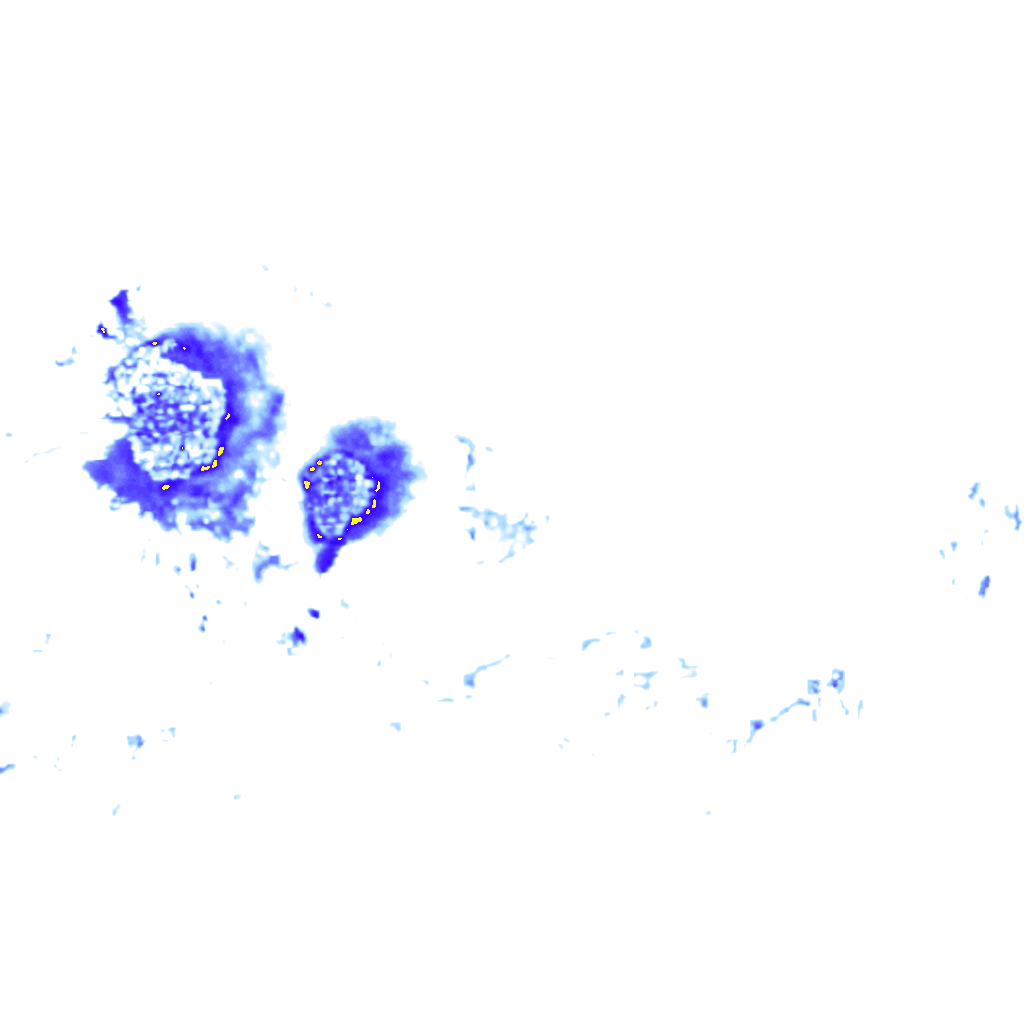 rainLayer