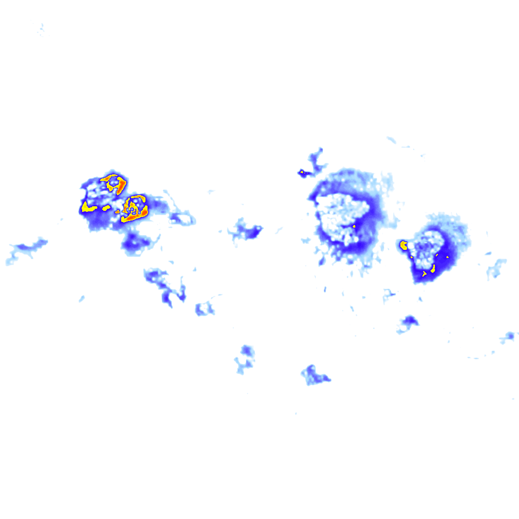 Image Layer
