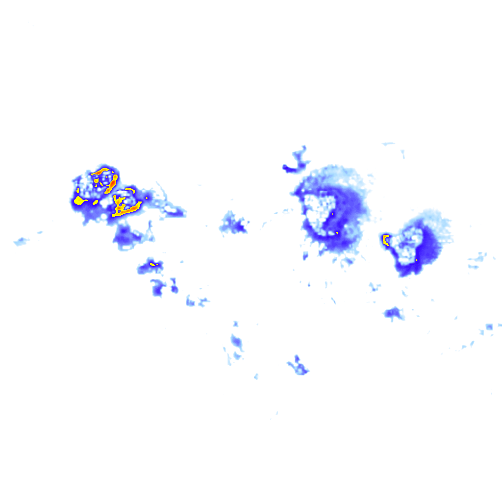 Image Layer