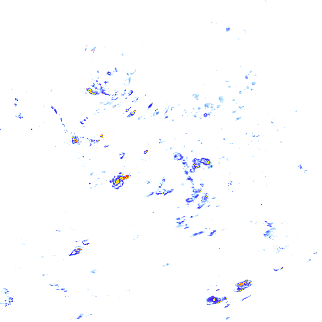 rainLayer