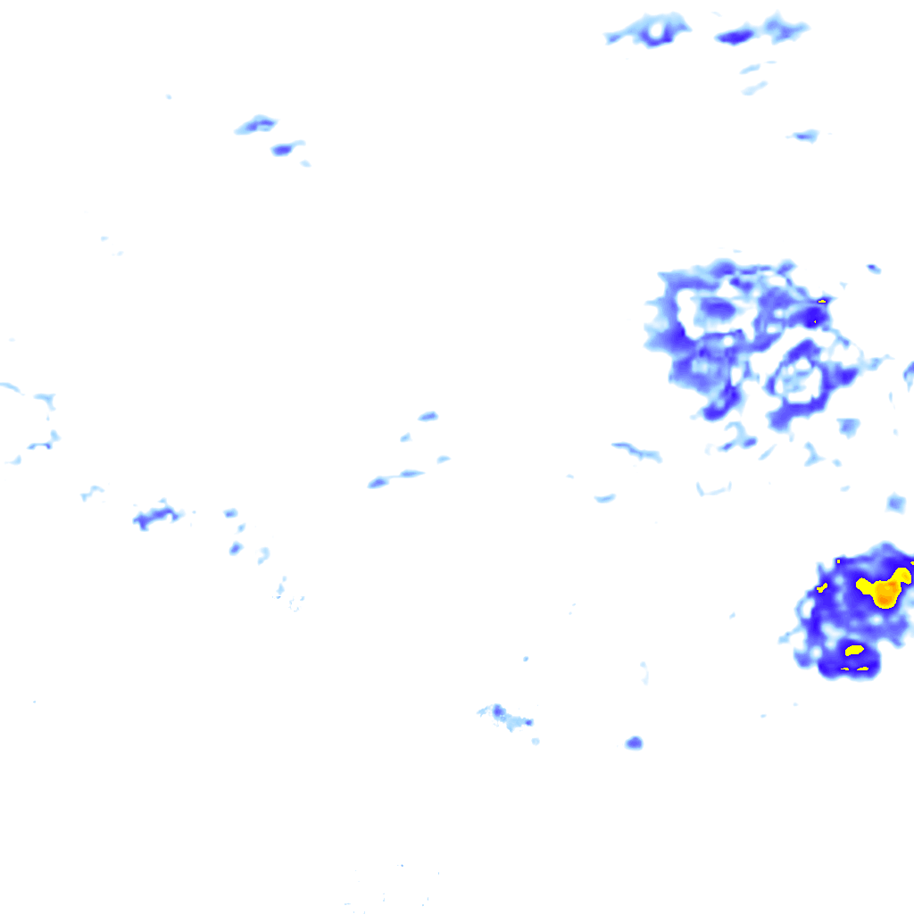 rainLayer