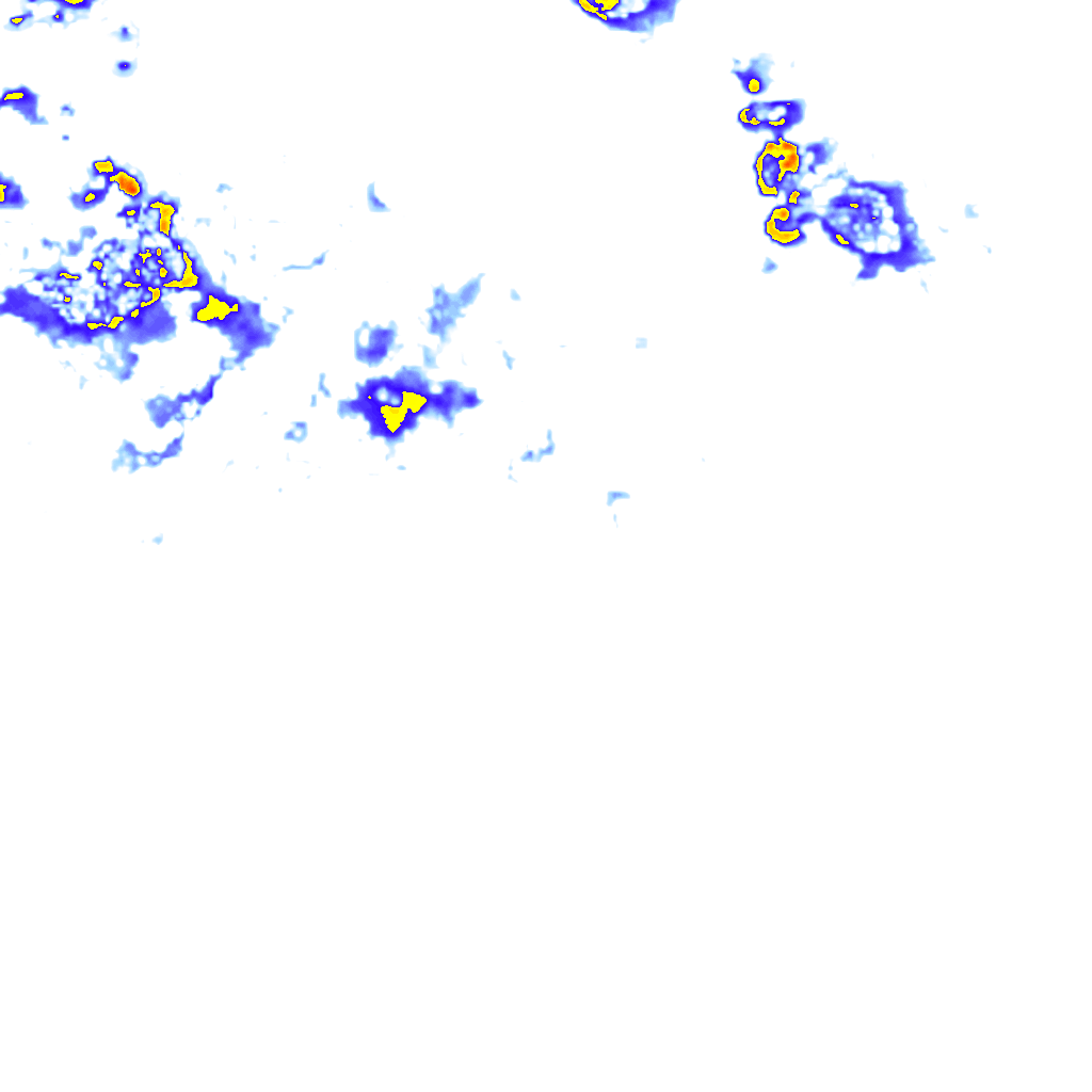 rainLayer