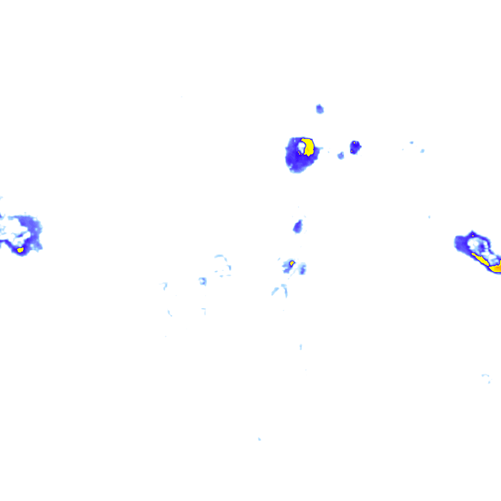 rainLayer