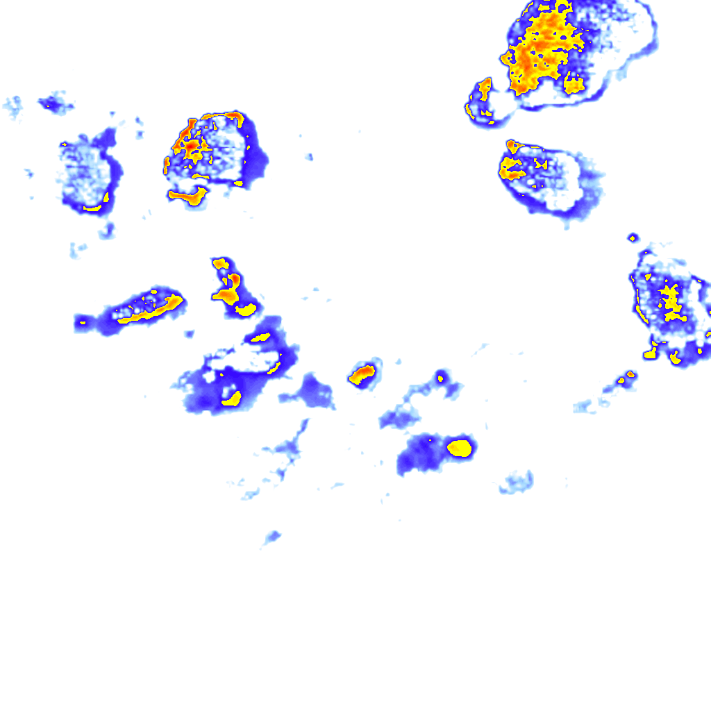 Image Layer