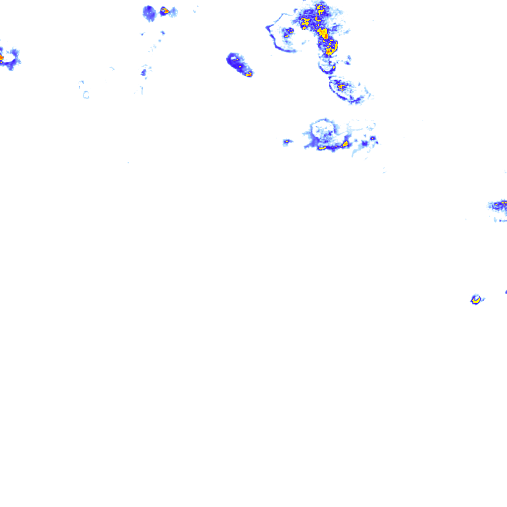 rainLayer