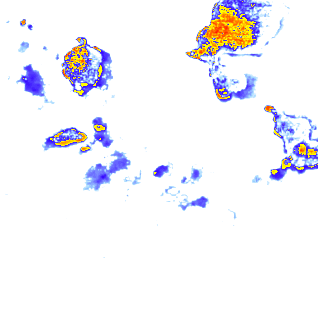Image Layer