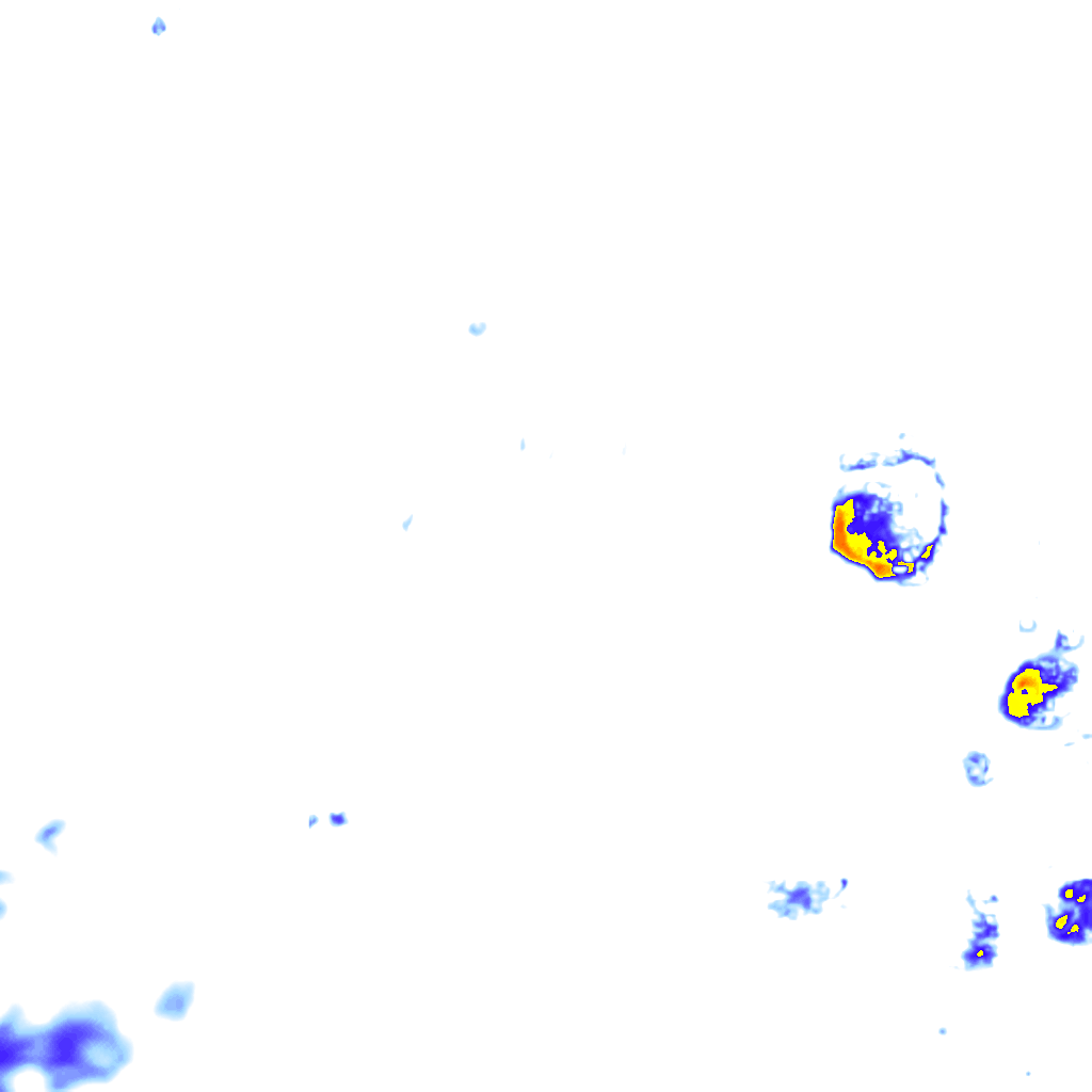 rainLayer