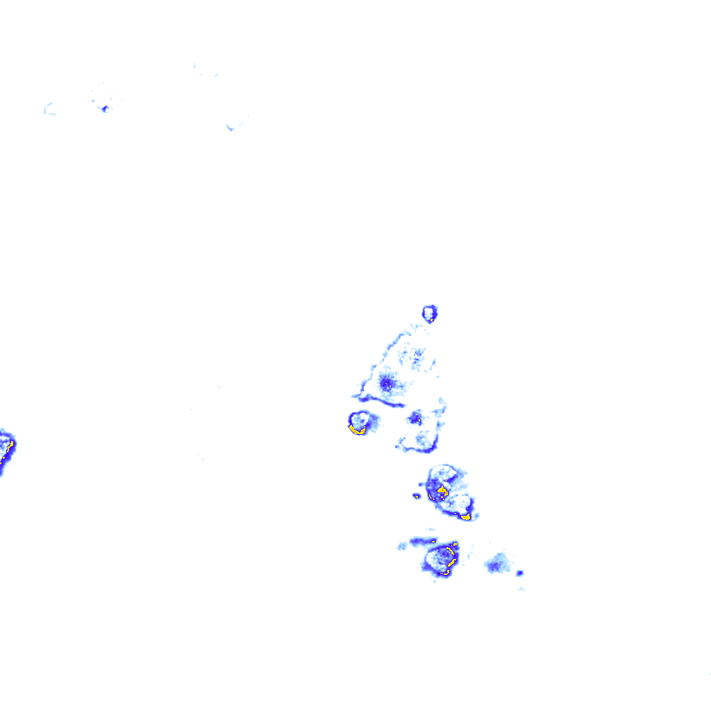 rainLayer