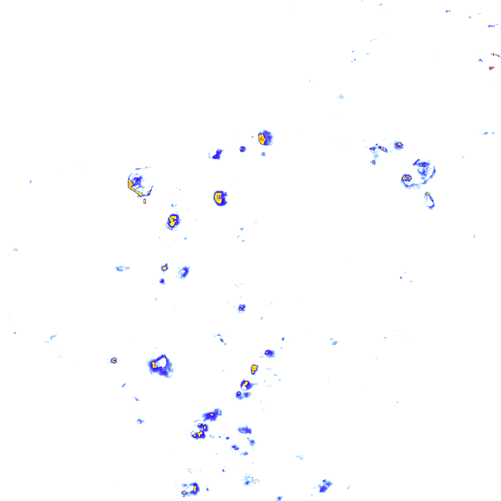 rainLayer