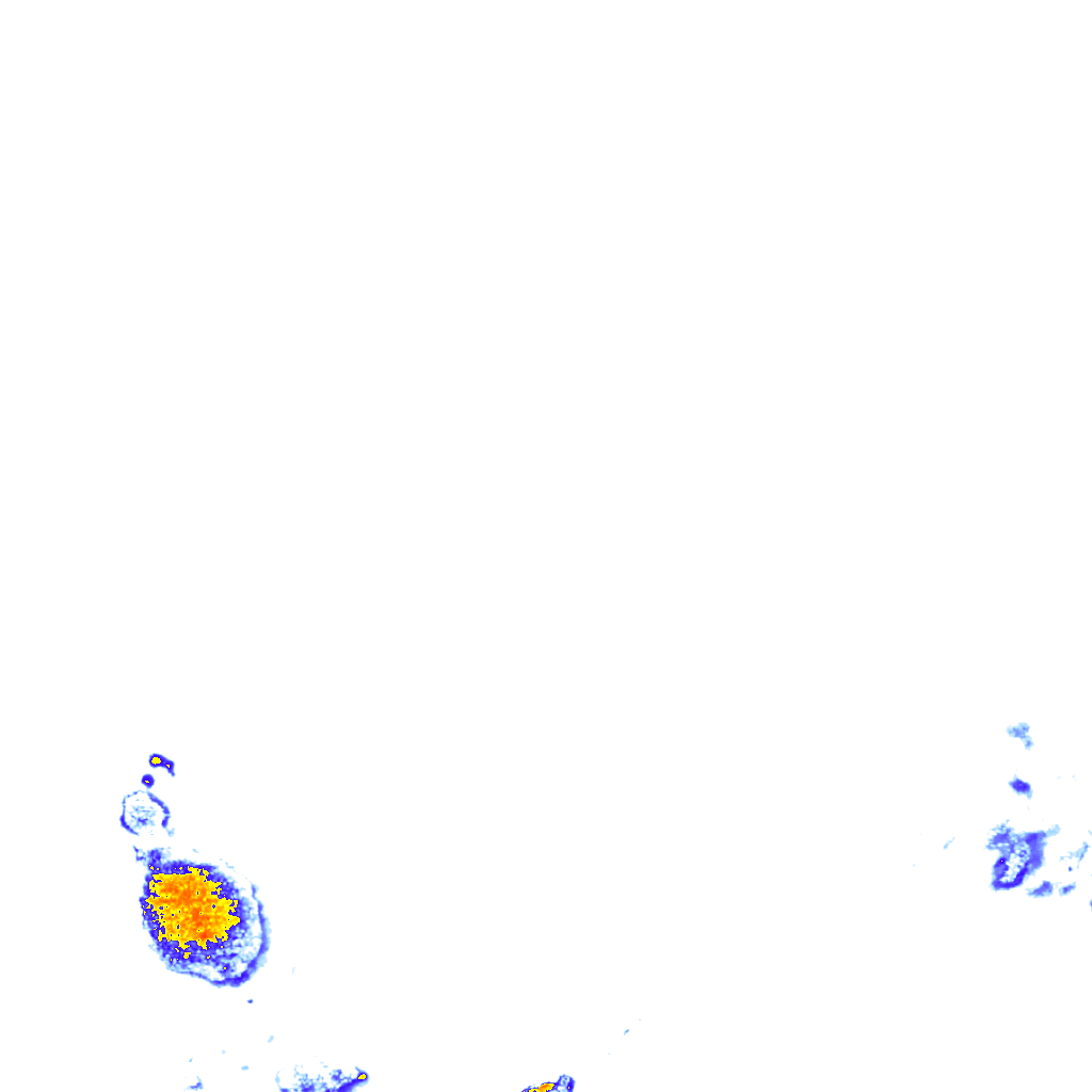 Image Layer
