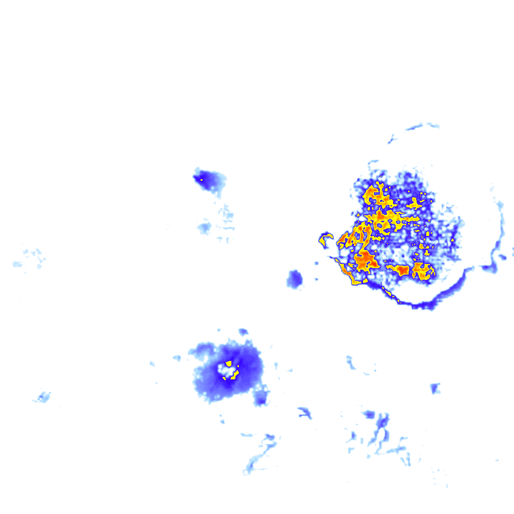 Image Layer