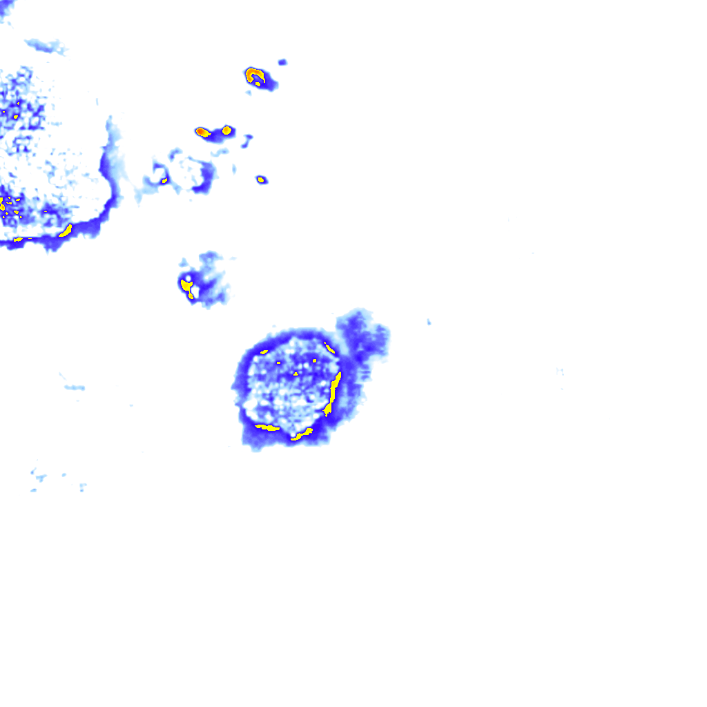 Image Layer
