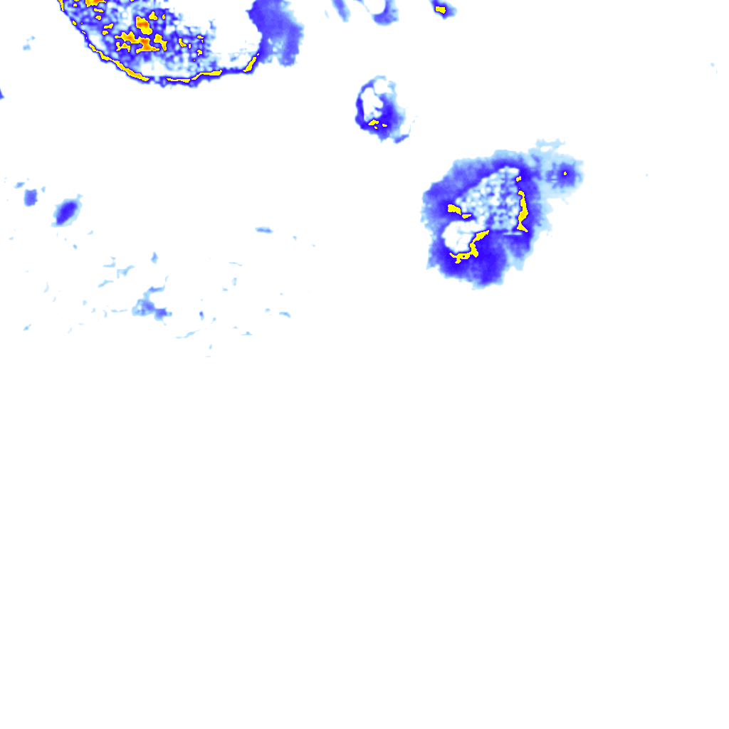 Image Layer
