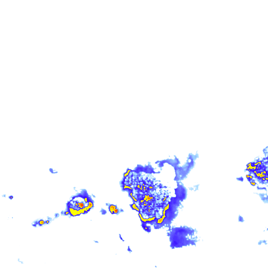 rainLayer