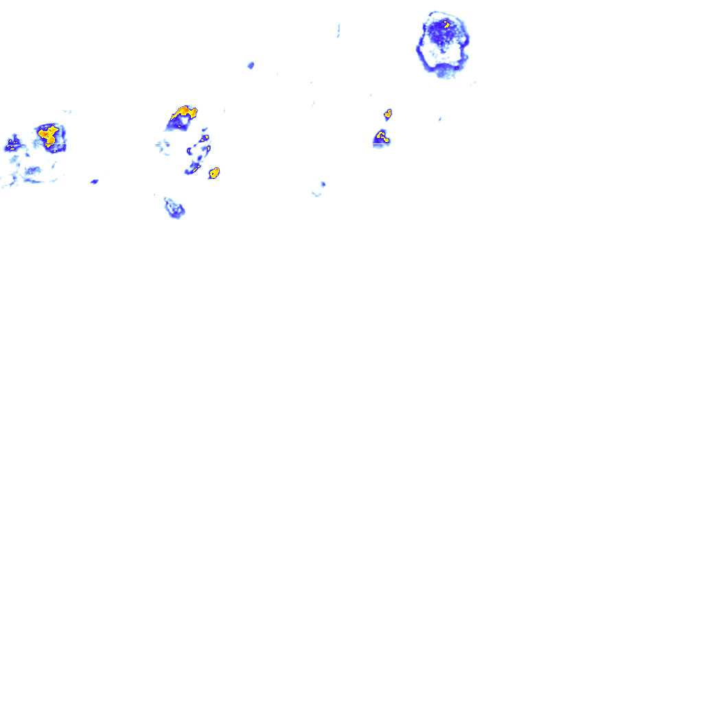 rainLayer