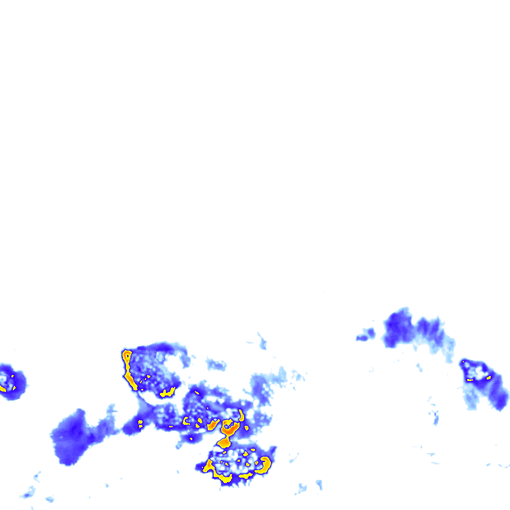 rainLayer