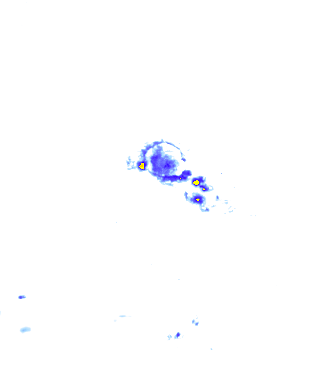 rainLayer