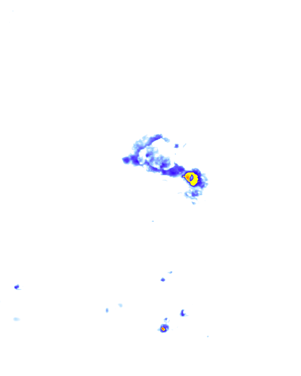 rainLayer